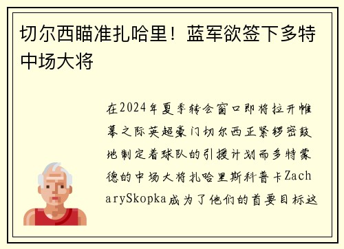 切尔西瞄准扎哈里！蓝军欲签下多特中场大将
