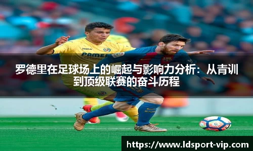 LD乐动官网
